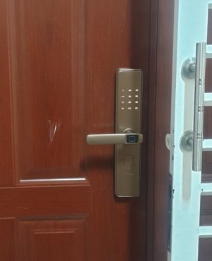 30b Khóa vân tay Bosch ID30B EU màu vàng đồng