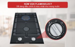 voi rua bat faster fs 915 125 BẾP GAS ĐÔI ÂM DOMINO BOSCH PRB3A6B70