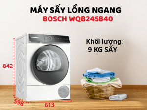 Máy sấy bơm nhiệt Bosch WQB245B40 series 8
